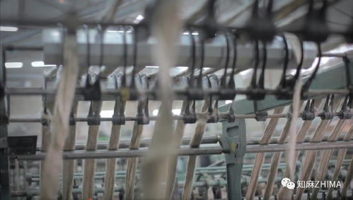 知訊005 紅海危機下的紡織業(yè)警鐘 亞麻紡紗廠面臨的挑戰(zhàn)與應對策略