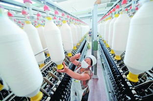 進口棉紗價格比國產(chǎn)棉花便宜 內(nèi)外有別 傷及紡織業(yè)